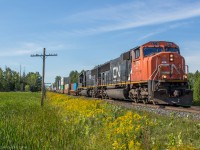 A nice pair of EMDs keep 105's train up to speed, as it heads North through Zephyr.

CN 5779, IC 1026 

1108hrs