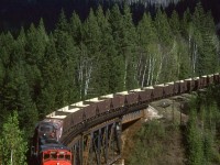 Most of the Clearwater Sub is difficult, at best, to photograph. This is one location that can be seen in the middle of nowhere (actually, a few kilometers east of Vavenby. For the most part the stretch of highway from Kamloops to the Yellowhead Pass is for doing miles as quickly as you dare.
At this spot, the view opens as the tracks cross the North Thompson River, making for a fine view of a westbound Sulphur train.