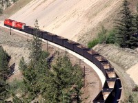 A CP empty Coal train rounds a curve on the "good" side of the Thompson River through White Canyon.