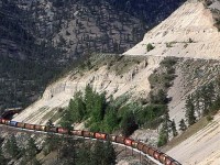 This loaded grain train hugs a bench cut into the poorly consolidated sediments on the south side of the Thompson River near in White Canyon. The bench above the train was cut for the Trans Canada Highway.
CN has a much more precarious passage through this area on the north side of the river.