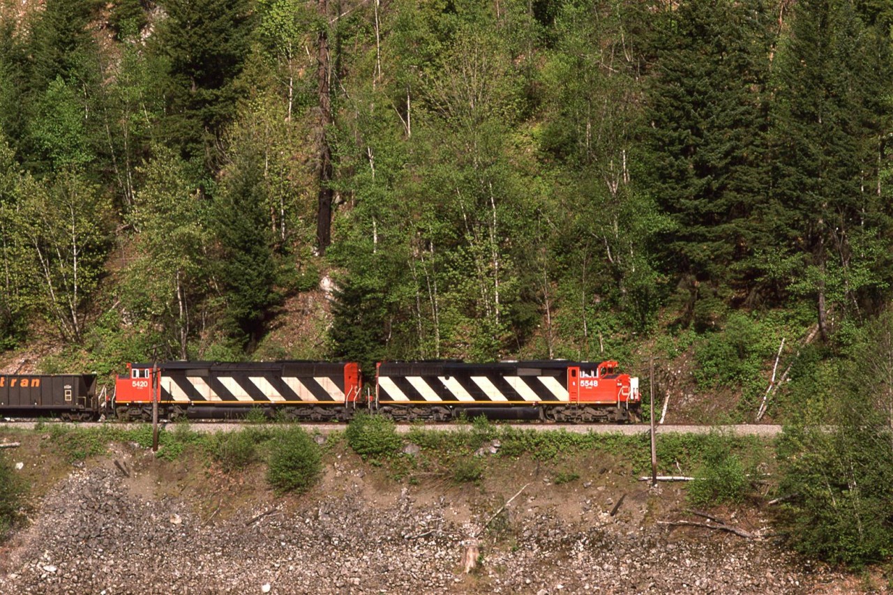 View of a loaded sulphur train across the Fraser River from Emery Creek Provincial Park.