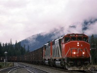 No one spends a lot of time in this area. It is strictly a get-through-it-as-quickly-as-possible situation. This is one of the few places where a train can be caught (Note the highway in the background).
This is an eastbound coal empty train on a very overcast morning.