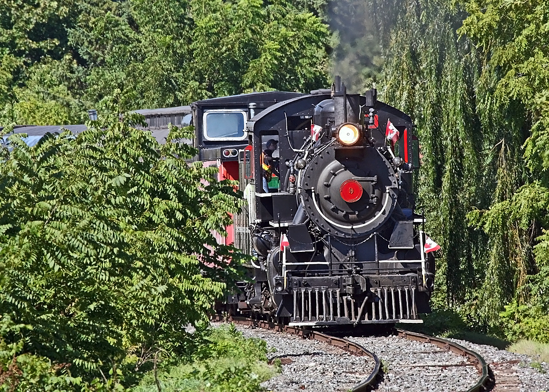 After the Labor Day runs the Waterloo Central steam train backs home to the yard in St. Jacobs.