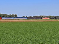 After the Labor Day runs, the Waterloo Central steam train reverses through the farmlands north of Waterloo home to St. Jacobs.