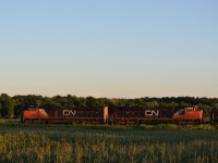 2 SD70M-2s lead 398 through the fields of corn, seconds after meeting VIA 75.