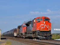 <b>Over the diamond at CN Diamond</b> CN 8893 & CN 2140 lead CN 318 over the diamond at CN Diamond. CN Diamond is at MP 14.3 of CN's very busy Rivers Sub where it crosses CP's not so busy Glenboro Sub a bit west of Winnipeg. 
