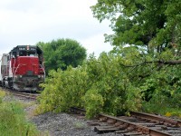 <b>"The little engine that couldn't"</b>
This past Thursday while en route to Ingenia, 598 encountered a downed tree in the former TH&B Newport yard. I'd guess it had probably fallen during a storm the previous night. The crew would end up calling the train master in Hamilton for assistance of the chainsaw type to clear the way
