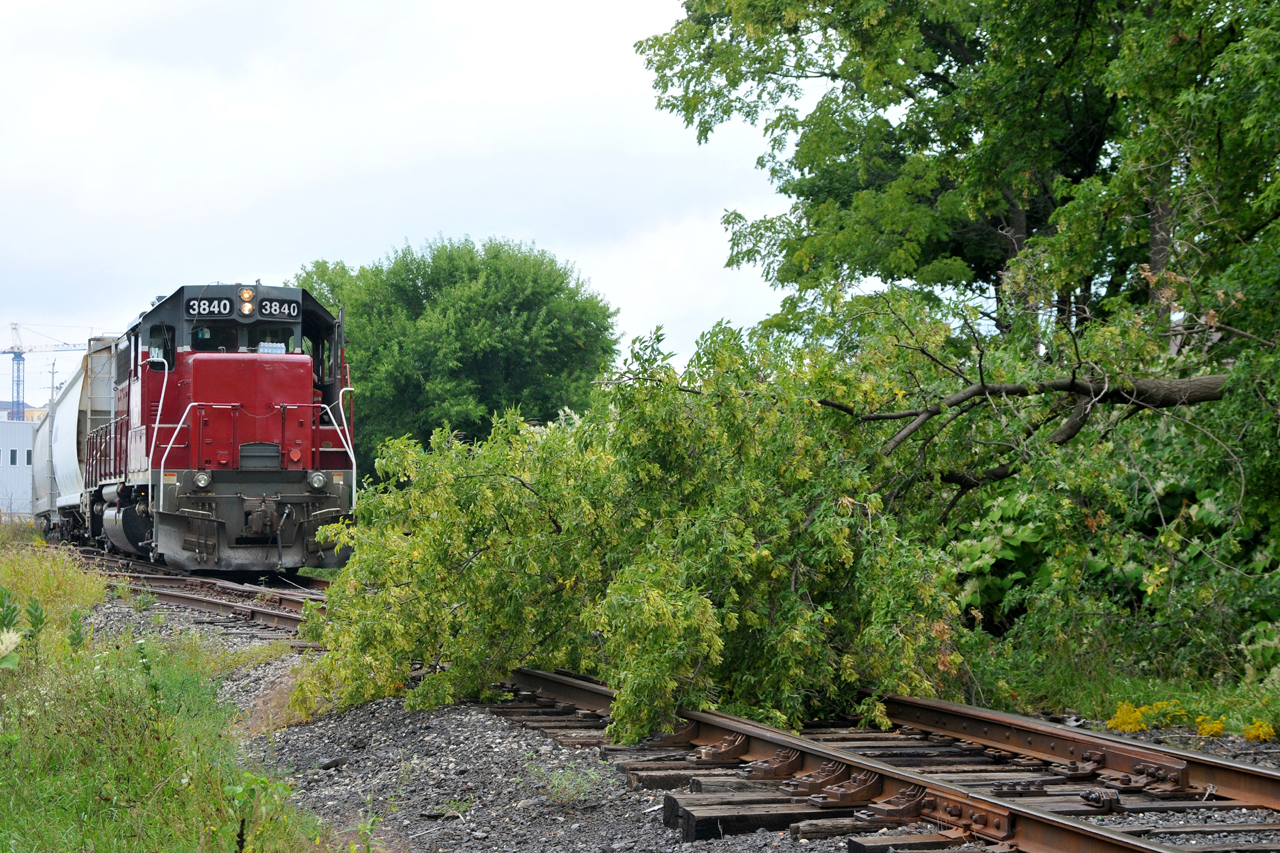 "The little engine that couldn't"
This past Thursday while en route to Ingenia, 598 encountered a downed tree in the former TH&B Newport yard. I'd guess it had probably fallen during a storm the previous night. The crew would end up calling the train master in Hamilton for assistance of the chainsaw type to clear the way