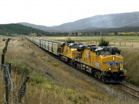 A solid UP consist with potash bound for UP interchange at Kingsgate and eventually the Port of Longview Wash. in the Kootenay River valley east of Fort Steele