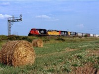 Working in Milton definitely has its perks, especially when both CN and CP were busy back in the early and mid 2000s. I used to look forward to finishing work and seeing if anything was waiting in the siding at Mansewood, and this day it certainly paid off. I'm not sure if this was definitely train 398 but the UP power was comon on it back then. The bails of hay added to the plain landscape at Mansewood this day along with the rainbow lash up of a CN SD40u, a UP ex SP GP60, a SP SD40M ex SD45 and a CSX Dash8. 