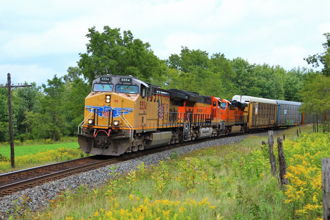 The power for yesterdays CP 650 ended up on todays CP 147. UP 5554 with BNSF 3909 and BNSF 6675 lead an unusually early and short 66 axel, 1316 foot auto rack consist up to the Victoria Road crossing in Puslinch.