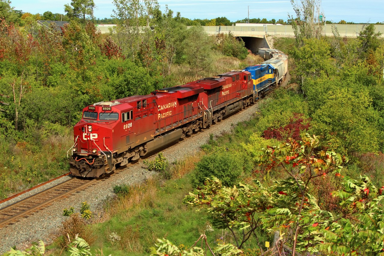 After cutting the lawn for several hours, I heard the scanner go off and a train get clearance to Desjardins. I decided to go check it out and just missed it in Carlisle but caught a glimpse of blue so I headed south. Lucky me, CP 246 is carrying another SD40-2 but today it's in perfect sun. The power is CP 8926 with CP 8790 hauling a nice clean Iowa, Chicago and Eastern (ICE) 6213 as it heads under highway 6 and Newman Road on its way down the Hamilton Sub.