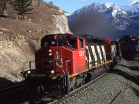 I do not recall ever seeing train #427 in Edmonton. Perhaps it came from the Alberta Resources Railway (Grande Cache).
At least 8 mountain goats watch the train and I showing complete disinterest.

