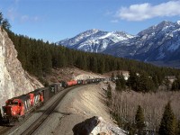 Empty wood product cars dominate this train destined for Prince George. It is approaching Jasper.