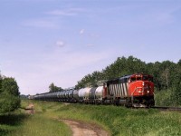 This is what #218 become over the years - lots of tank cars destined for the growing chemical plants and refineries around Edmonton. This was an important train, presumably because it made a ton of money for CN. I think that it would continue east with all new tank cars later in the evening.