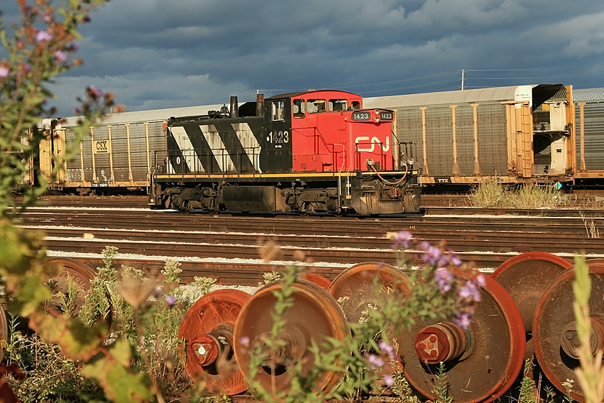 Looking back 8 years, we see GMD1u CN 1423 basking in the late afternoon sun in Oakville Yard.