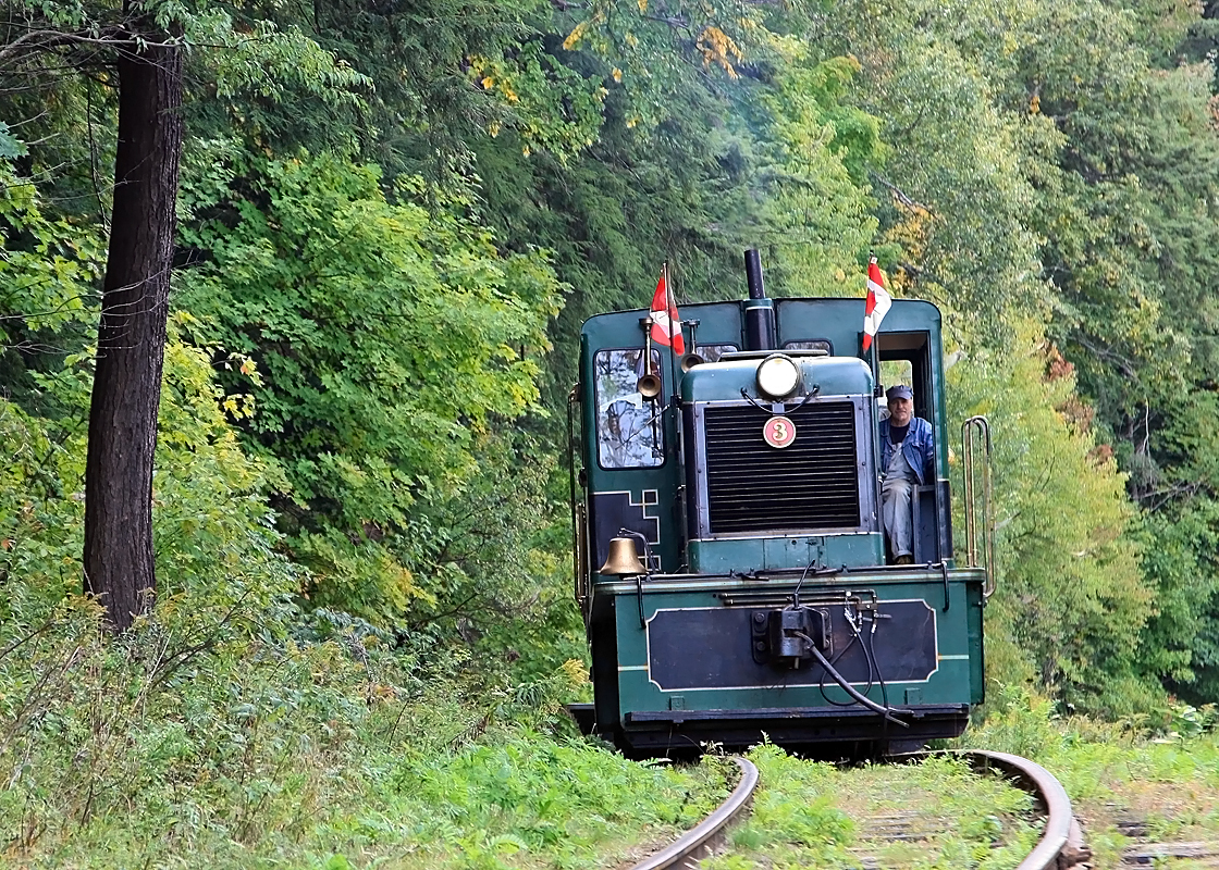 The Portage Flyer chugs its way up the short but convoluted track from the station at Muskoka Heritage Place to Fairy Lake Station.