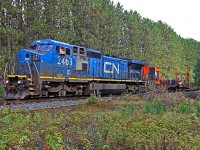 After working the CN Newmarket Sub between Washago and North Bay the past few days, I caught CN W914 pooping out what appeared to be its last string of rail at Mile 132.5 just north of Martins on my way in to run the Portage Flyer this morning. 
