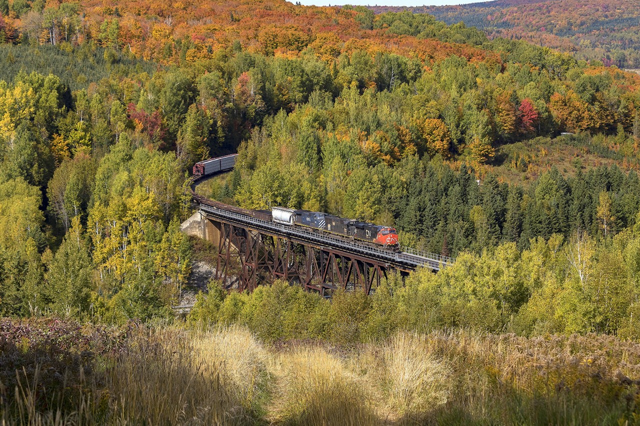 On a beautiful Fall afternoon, CN 2344 negotiates the grades and turns of the Pelletier Sub. Seen here, coming out of the trees to cross the trestle at Saint-Eleuthere, PQ. October 1,2016.