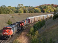 After dealing with some air and SBU problems down at Pickering Jct, 570 is finally on the move crawling up the York Sub through Beare, bound for Mac yard.  


CN 2415, CN 5636, CN 7071, CN 7052