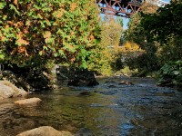 Trundling across the Forks Of The Credit, CCGX4014 leads the Credit Valley Explorer Fall Colour train north back to Orangeville. 