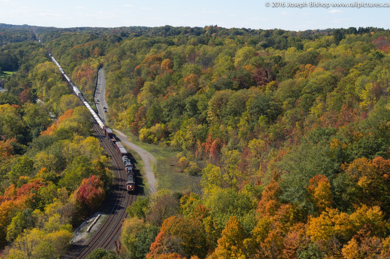 CN 394 glides downgrade through Dundas as fall colours begin to show from the peak.  We had just made it to the peak when I noticed a headlight come into view making for perfect timing...I had a hard time convincing my hiking buddy that I didn't know the train was coming.  I don't think she believed me!
