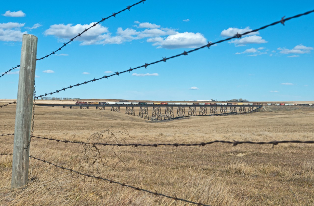 CP 8614 leads westbound grainer across the "Old Man River" between Pearce and Monarch Alberta on CP's Crowsnest Sub.