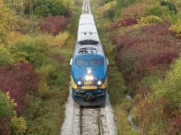 VIA Train #84 is heading into Kitchener from Stratford, with Engine 914 leading the usual four passenger cars.  The train will continue on, to eventually drop most of its passengers off at Union Station in Toronto.  The track is flanked by sumac and other falll-coloured bushes that tells us the season without having to look at the date.  The picture was taken from the overpass on Ira Needles Boulevard between Victoria St and University St.