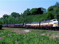 In 2005 Canadian Pacific's Royal Canadian Pacific ran a special rare miles tour train through parts of Southern Ontario. On this day the train ran from Toronto to Hamilton, then ran around the wye at Aberdeen before heading back up to Guelph Jct. Once at Guelph Jct. the train used the pair of wye's there to position itself for a trip up the Guelph Junction Railway. The train then tied up for the night in Guelph. Here we see the train rolling southbound through Desjardines in Hamilton.