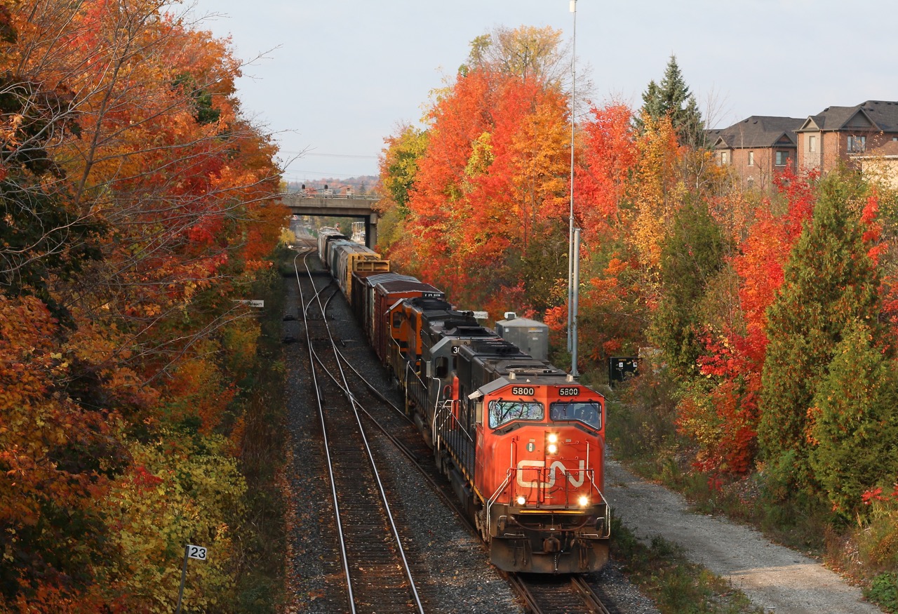The sun has broken through a gap in the changing colours of a group of trees east of the station in Georgetown highlighting the nose of borrowed CN SD75 #5800. The unit is now on loan to the Goderich-Exeter replacing one of their SD40s, out for repairs. A few weeks earlier the GEXR was borrowing a Dash-9 from CN. the year 2016 has been a rough year for the GEXR as far as motive power goes, with a number of units having mechanical issues, some of which have left the property for major overhauls, leaving the railroad very strapped for power.
