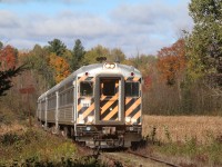 York-Durham's Halloween train is passing the swamp and fading fall colours just west of Uxbridge. Cab car #101 is a former RDC that was last used on the Guelph Jct. RR, and RS11 #3612 is busy pushing on the rear.
