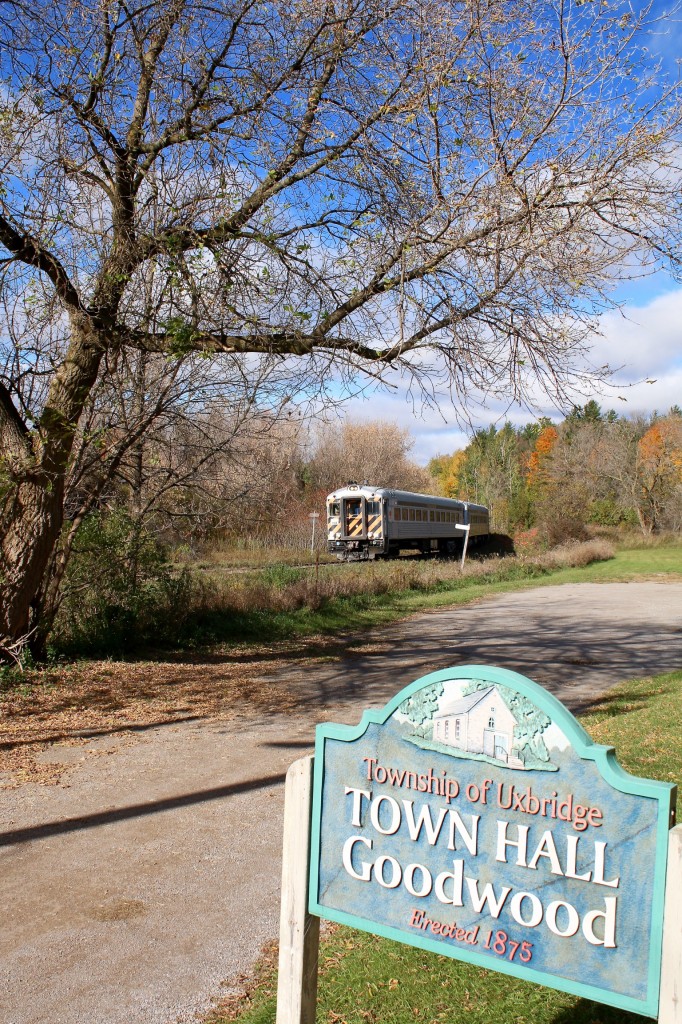While on my way to Uxbridge to take my boys on York-Durham's Haloween train, we passed through the village of Goodwood. The overgrown Uxbridge sub. travels through town and at a crossing off the main road I found an interesting shot I had to try on my return trip. At this location the line just Illustrates branchline railroading perfectly, with an old faded mile post marker as well as whistle posts and rusty old crossing signals, not to mention an overgrown roadbed warping around a small hillside with the last of the seasons fall colours holding on as long as possible. The last shot I saw of this crossing was in a book covering the last rail lines to Lindsay. My arrival at the current end of line in Uxbridge this day would be a little disappointing after finding all Alco power situated on the wrong end of the train. At least the coaches on our train were once self propelled RDC coatches. With a little imagination the train being pushed through Goodwood almost appeared to be old CNR RDC's rolling into town past the old town hall.