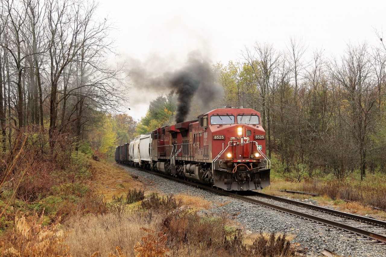 Todays CP 254 lead by CP 8525 with CP 9668 has been having technical difficulties to say the least. After stopping at the 'Y' at Guelph Junction with SPU failure, it heads south down the Hamilton sub to make a stop at Flamboro to get assistance. CP 9668 is smoking up a storm!!