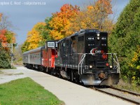 There's been a long and continuing history of Railway photographers at Inglewood - CN continued passenger trains until  around 1960 and CP until 1970. <a href=http://www.railpictures.ca/?attachment_id=24668 target=_blank>This Clayton Morgan (Doug Hately) shot in 1960</a> is essentially where the train in MY photo is - except on the CPR tracks not the CN. Excursions were nothing new either, witness the famous <a href=http://www.railpictures.ca/?attachment_id=16863 target=_blank> Tripleheader (Bob Ross, R.L. Kennedy collection) photo in 1960 </a> which  drew thousands of people.<br><br><a href=http://www.railpictures.ca/?attachment_id=4386 target=_blank> Starting in 2004 (Stephen Host) </a> and with a single coach the Credit Valley Explorer began their journey to return passenger services to the area. Service has only grown better and with more coaches as you can see above - fall colour excursions run daily except when freights are scheduled - DAILY! Impressive don't you think? <br><br>And in this photo - luck runs in my direction - I get full sun at the right moment, where the train would be lit perfectly as most of the run would be backlit in both directions, but not at Inglewood. Nice colours on the trees too. When the train returned Northbound mobs of passengers crammed into the General Store to buy souvenirs - I hope the people of Inglewood are happy with the tourism bump the train brings.