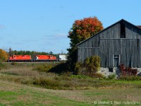 And a bit north of my last photo, OSR is passing a small farm found along Watson Rd as fall colours struggle to overpower the remaining chlorophyll in leaves.