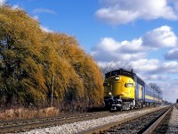 Fifteen minutes to its destination, VIA 6519, with Toronto to Windsor train 71, kicks up the leaves along the then double track CN Chatham Sub.