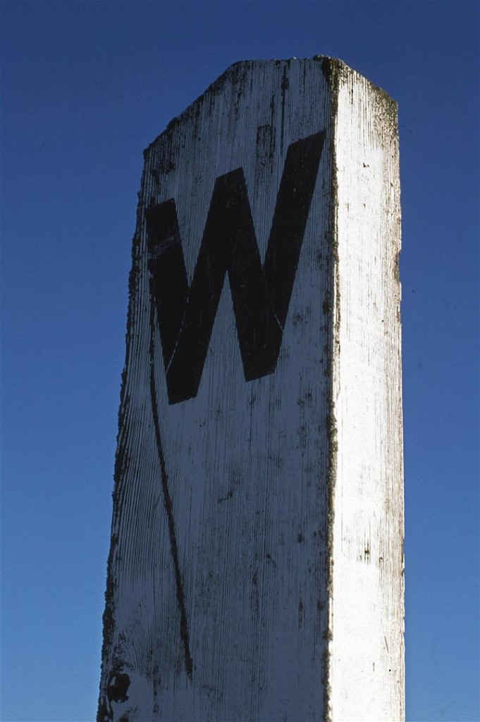 A serious piece of weed is used for a whistle sign on the Vegreville Sub, just NE of Edmonton. My experience in southern Ontario, Halifax, and Calgary led me to believe that these signs were always metal. Later, on a remnant of the Nickel Plate, I would see concrete signs.