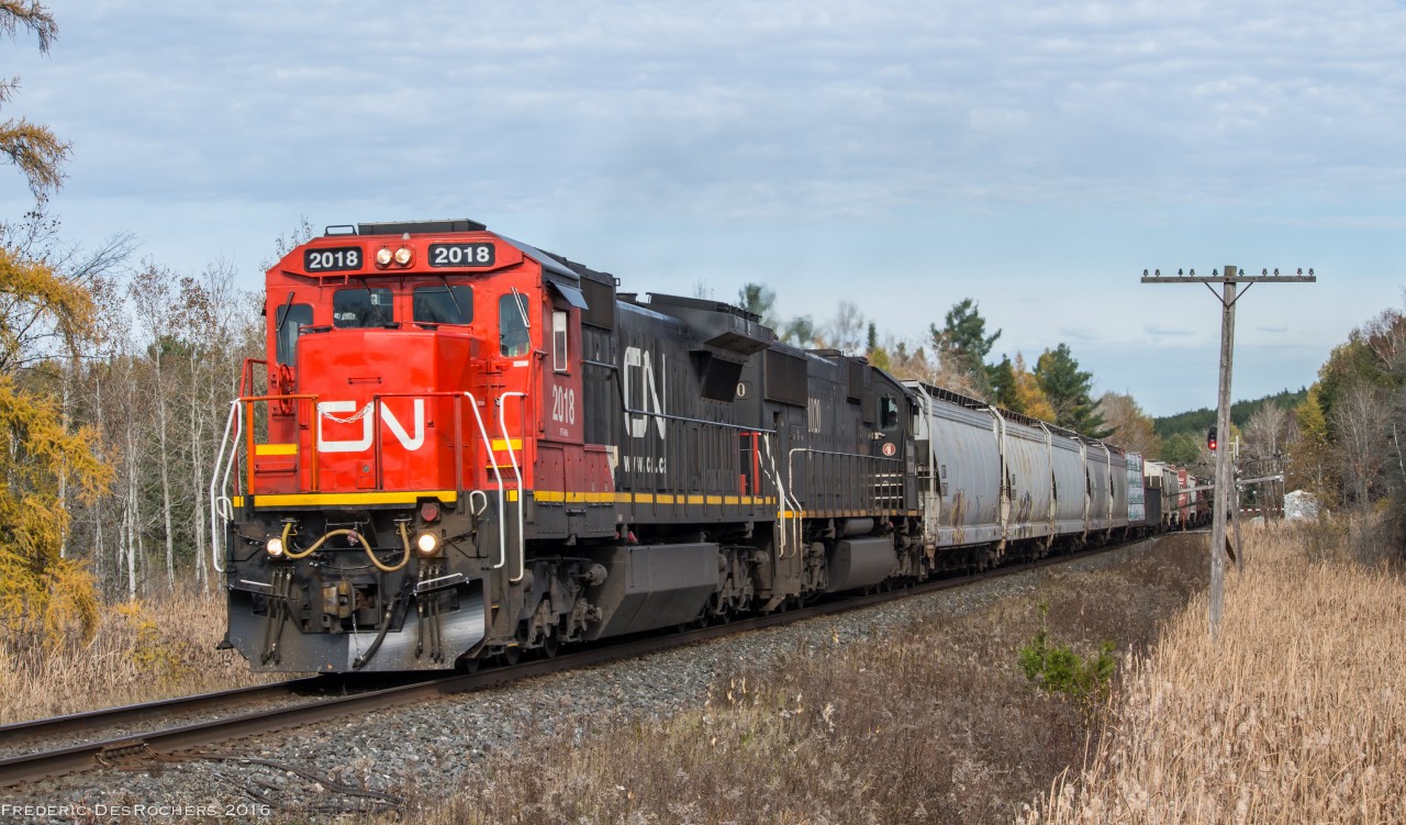 A pair of Standard Cabs still have their place on CN's roster, as they bring train 314 from Winnipeg through Zephyr, bound for Toronto. 

CN 2018, IC 2020

1400hrs