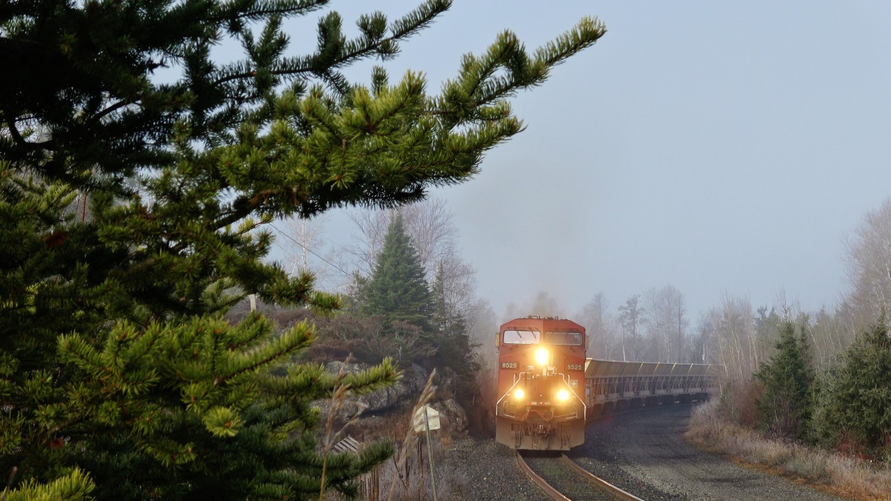 Canadian Pacific AC44CW No. 8525 is working hard as the locomotive pulls a heavy manifest freight train through the curves just east of Ingolf, ON.