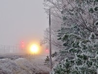 Piercing through the fog, a CN SD70M-2 blasts through the frosty prairies with a fast stack train in tow near Dugald, MB on a cool November morning. 