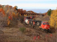 When considering how hot and dry this summer was, it is amazing how much fall colour has been out their this season and how long it has lasted. I always enjoy hiking into the hills at Scotch Block, while the golf course bridge has changed the view here, the area is still very scenic. The muted sun is seen briefly making an appearance as train 399 rolls past the Clublinks golf course, briefly drowning out the sound of numerous lawn sprinklers. 