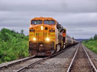 QNS&L GE AC4400CW 425 and SD70ACe 506 leads a northbound Wabush Mines ore train which came from the Arnaud Railway at Sept-Îles Jct., mile 8.3  July 27, 2010.