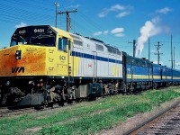 The Bloody nose of 6431 was the result of a collision with a Moose on the tracks on the eastbound Ocean in Northern New Brunswick.