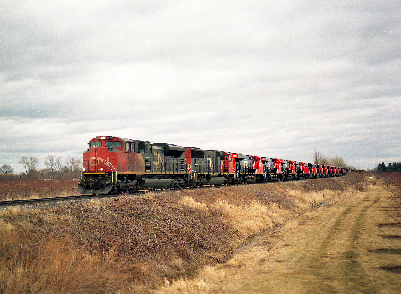 I have been lucky with these 'new power order' trains running the Grimsby sub as the orders of ES44ACs came across the border from Erie, PA's sprawling GE facilities. Here is another dozen behind CN 8019 and 5777 which came in the early spring of 2015. I elected to shoot digital for clarity. The camera failed in this case miserably, and all shots were useless,and since I was counting on lifting the engine numbers from the photos rather than my usual method of writing everything down on my hand as the train passes; my info here is lost. We know this is near the end of the most recent order, and I think this delivery consists of units numbered around 2960, give or take. I was fortunate to grab this film shot of the train as a backup as it came roaring by; and it was indeed an impressive sight to watch.