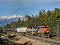 A pair of C40-8Ms crawl towards Jasper with M309's train.