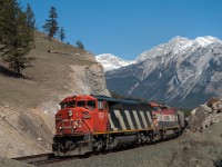 CN 5532 and BCOL 4614 are seen on the point of train 347 between Jasper and English on a beautiful spring day in the mountains. 