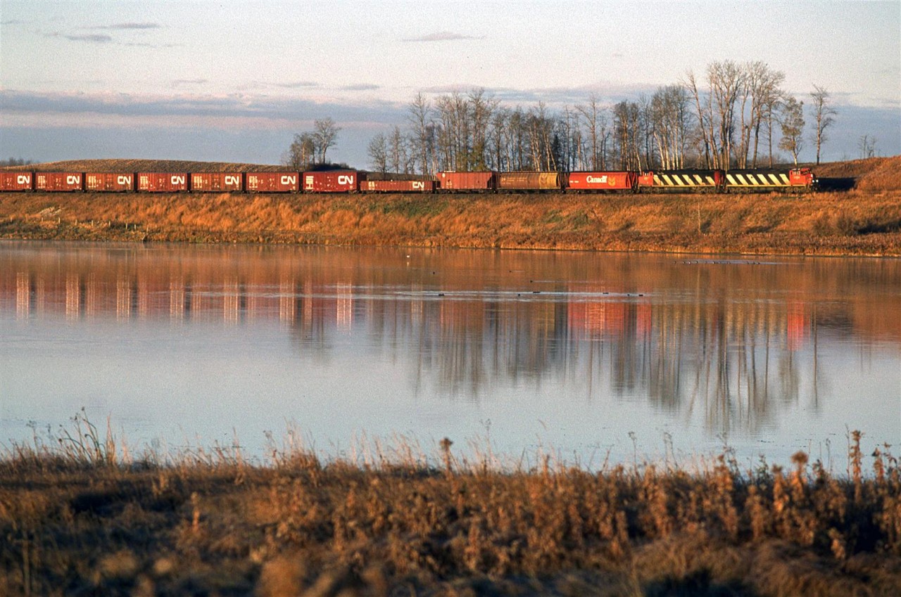 Just after sunrise, CN sends an eastbound manifest trough the double track of Carvel. Only the sunlight provides vivid colours. The trees are pretty much finished their fall show.