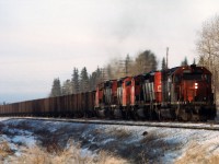 4 SD40's; with the olderst as leader bring 110 cars of Coal Valley coal for Thunder Bay into Edson. Power will be changed in Edmonton, so there's a cool 130 miles coming for the next crew.