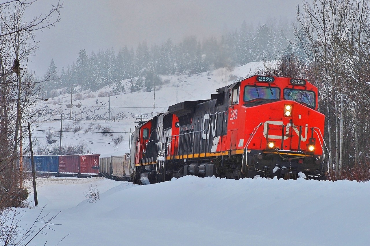 CN nos.2528&5441 are climbing the grade towards Larkin with this southbound mixed freight.