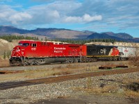 CP 9655 has paused it's train at Geddis in order to pick up CN 2445. The load of grain will proceed westwards to Kamloops where presumably the CN unit returned to CN tracks. The photographer had not seen a CP/CN combination like this before so was pleased to get a shot of the event.